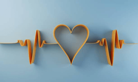The heart health check The heart health check